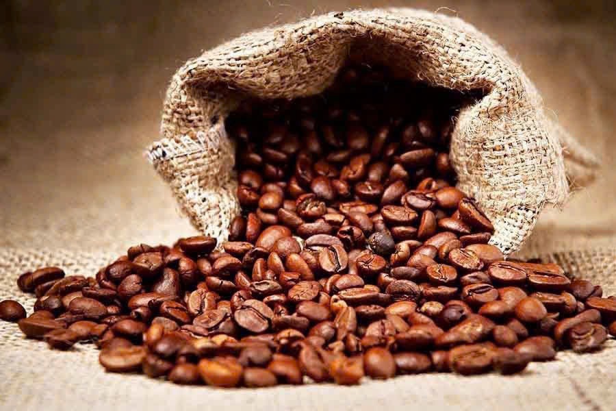Giá cà phê hôm nay 2/2 tiếp tục giữ trên mốc 100.000 đồng/kg
