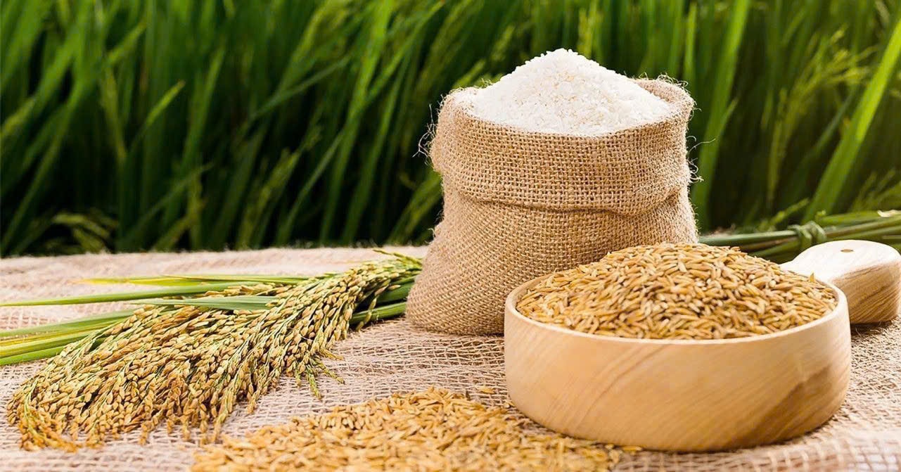 Giá lúa gạo hôm nay 22 Ổn định trong sáng đầu tuần