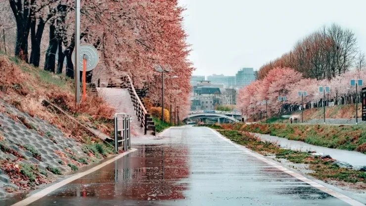 Nhịp sống sôi động tại thủ đô Seoul, Hàn Quốc