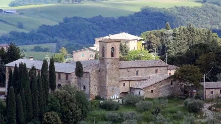 Cánh đồng nho và phong cảnh hữu tình tại Montalcino, Tuscany