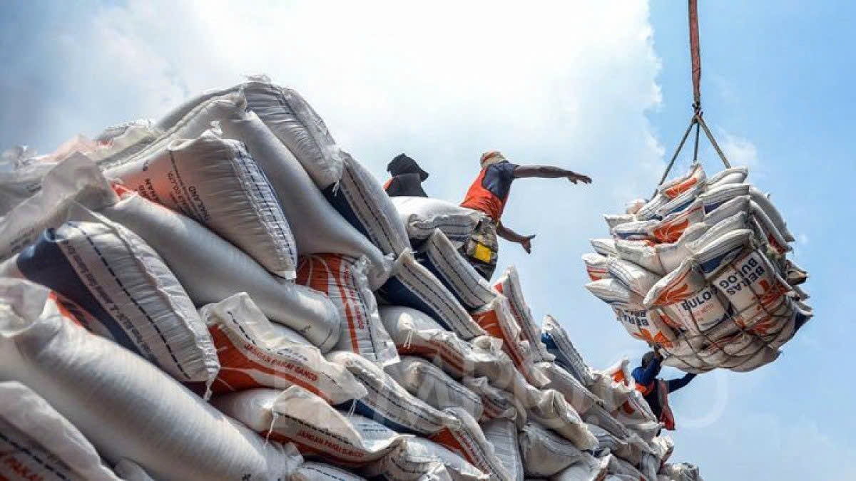 Giá gạo hôm nay 5/2 Gạo xuất khẩu nhích lên giá lúa biến động trái chiều
