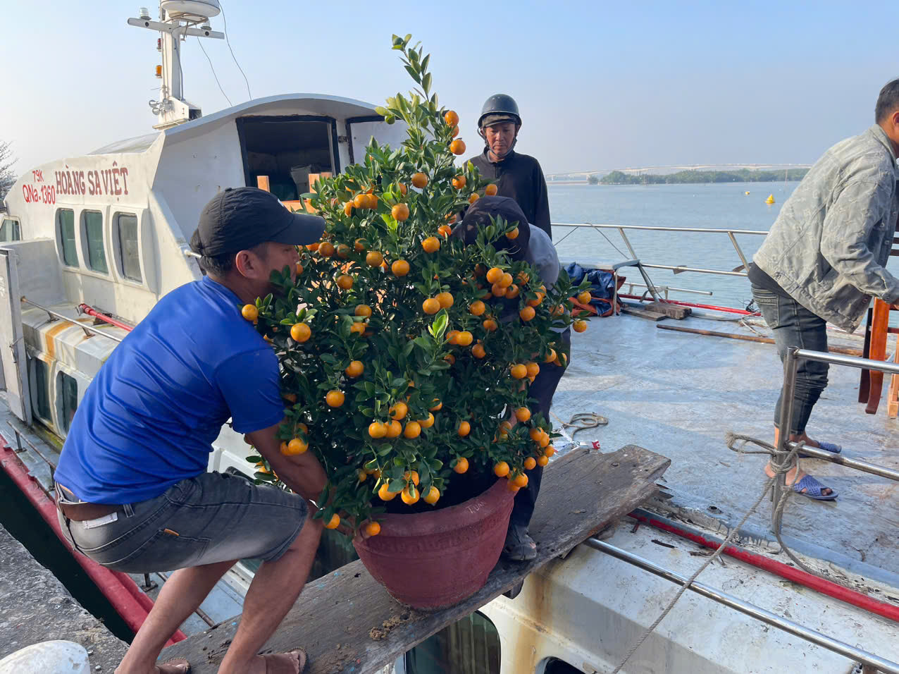 เกาะที่ 5