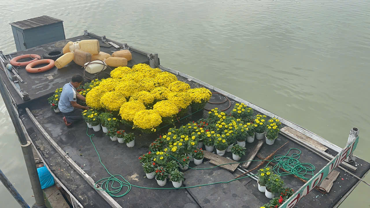 เกาะที่ 6