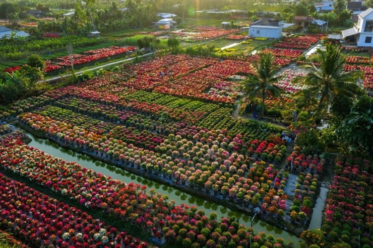 Du khách tham quan và chụp ảnh tại tuyến đường hoa giấy Phú Sơn.