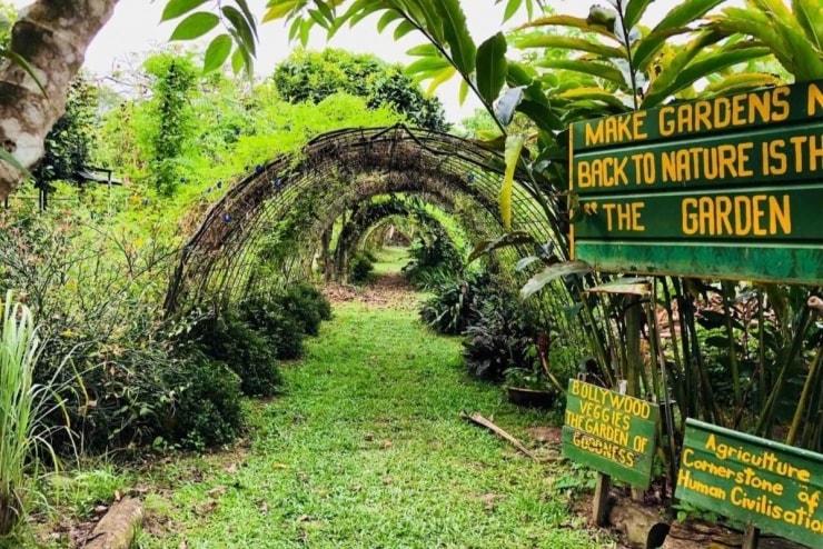 Nông trại Bollywood Farms tại Kranji
