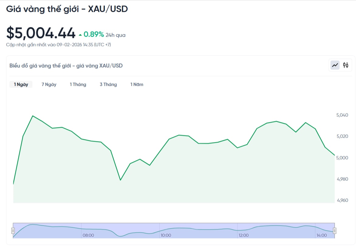gia-vang-the-gioi-hom-nay-bieu-do-gia-vang-xauusd-kitco-realtime-02-09-2026_02_52_pm.jpg