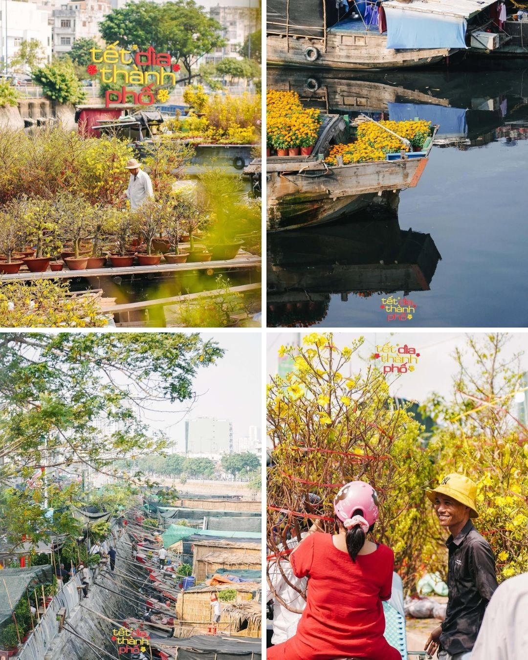 Chợ hoa Xuân Trên bến dưới thuyền 2026