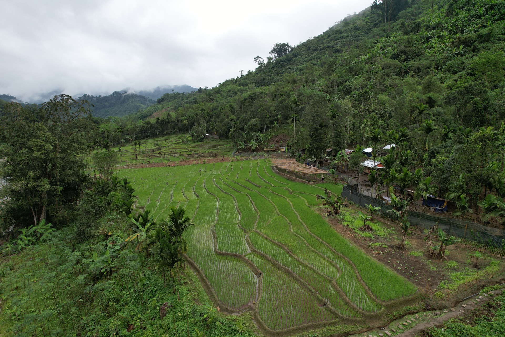 dji_0108.jpg