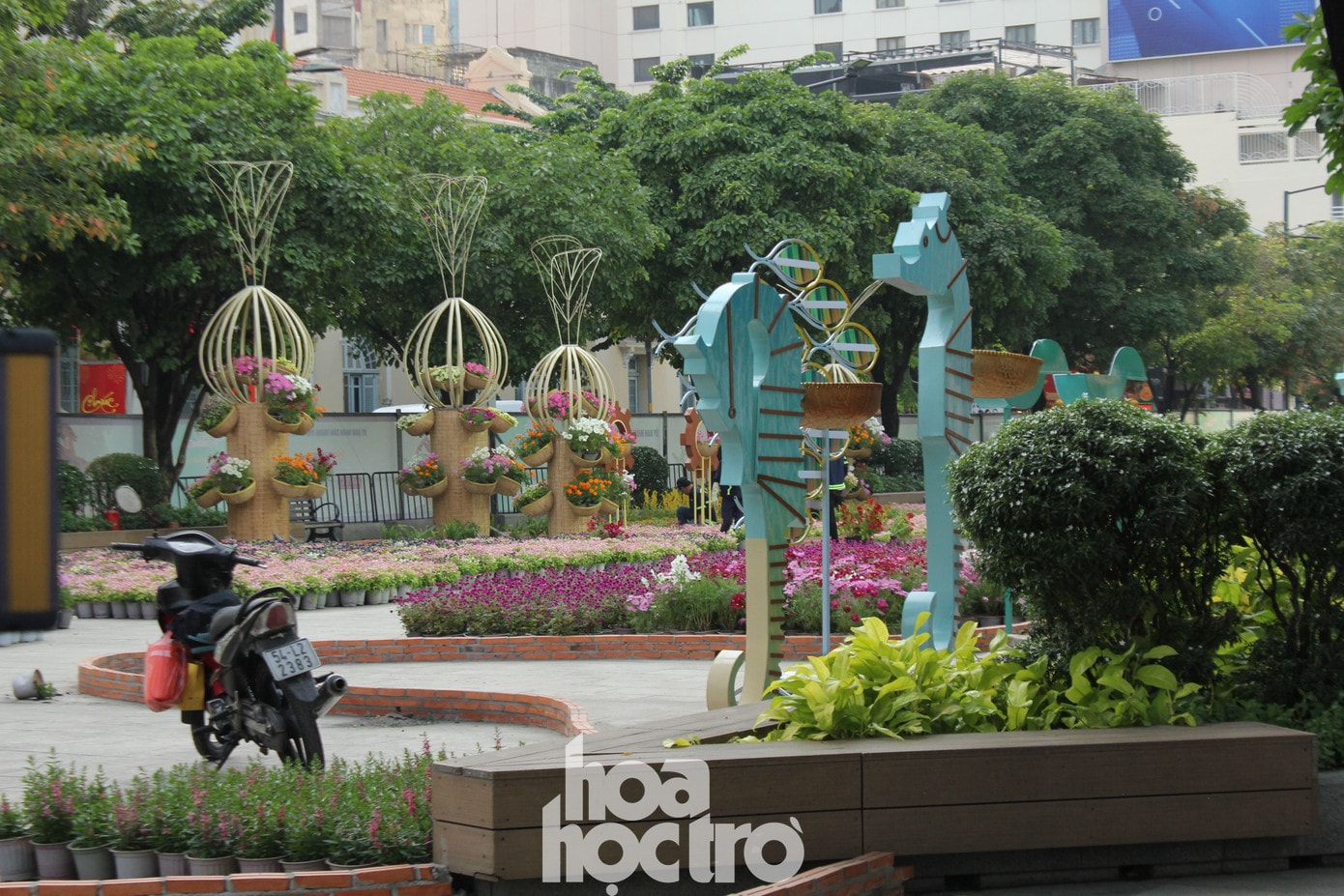 Khu vực cá ngựa tại đường hoa