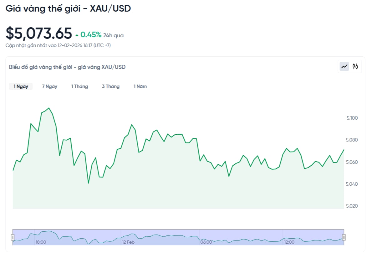 gia-vang-the-gioi-hom-nay-bieu-do-gia-vang-xauusd-kitco-02-12-2026_04_19_pm.jpg