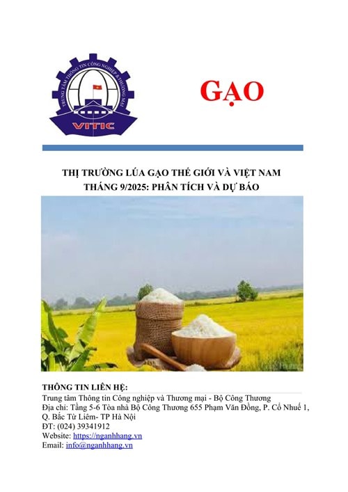 Báo cáo thị trường lúa gạo tháng 9/2025