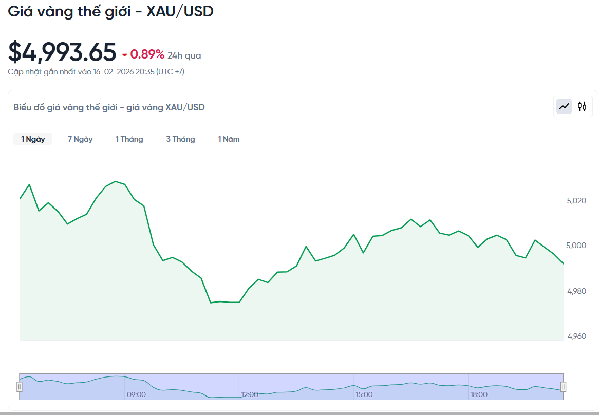 gia-vang-the-gioi-hom-nay-bieu-do-gia-vang-xauusd-kitco-02-16-2026_08_43_pm.png