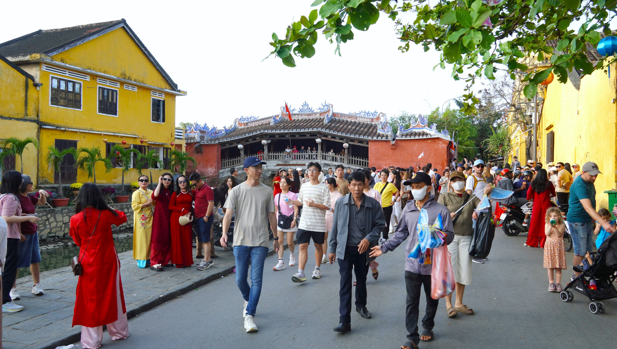dsc03493.jpg