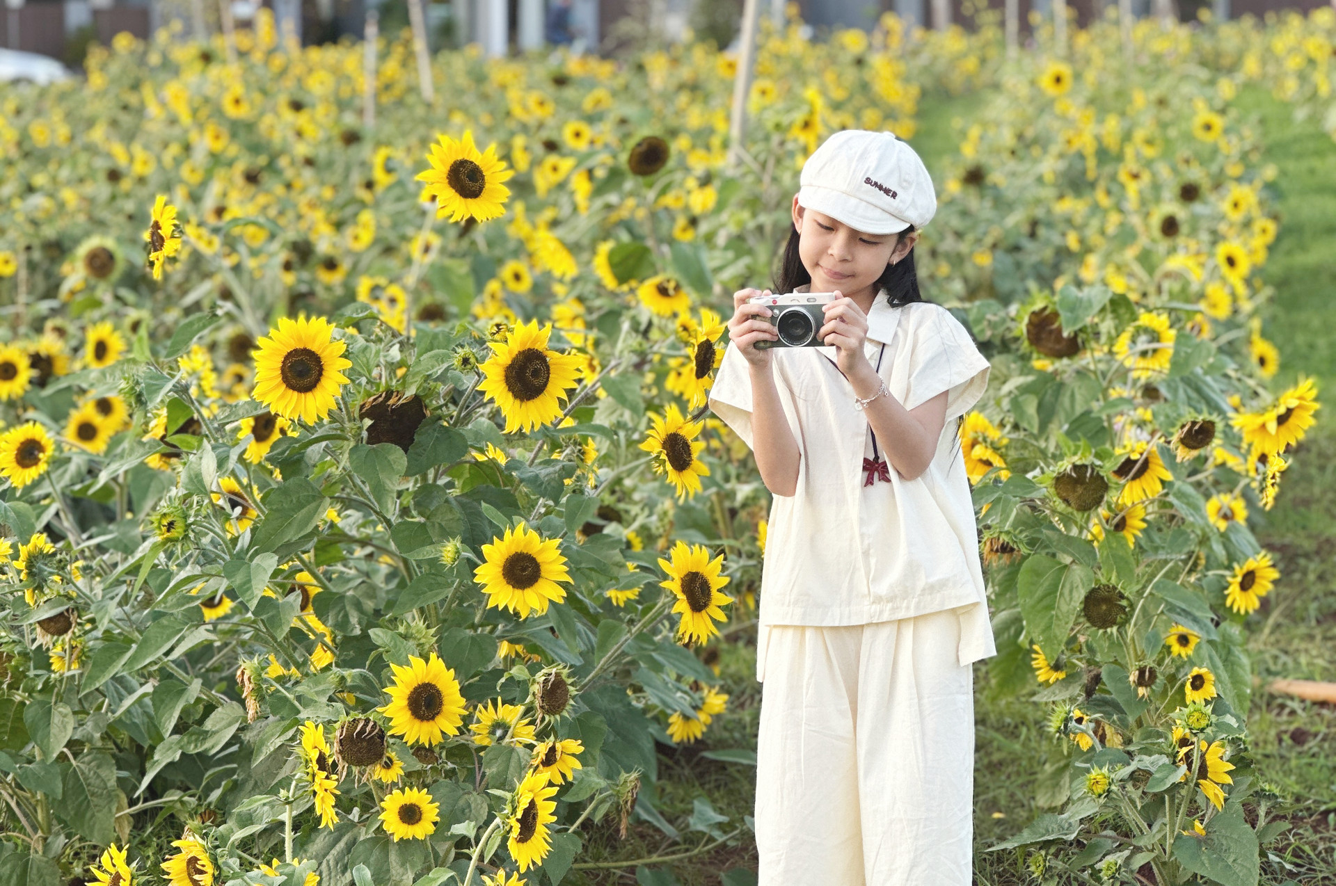 Діти із задоволенням фотографуються на тлі поля соняшників у Буон Ма Тхуот.