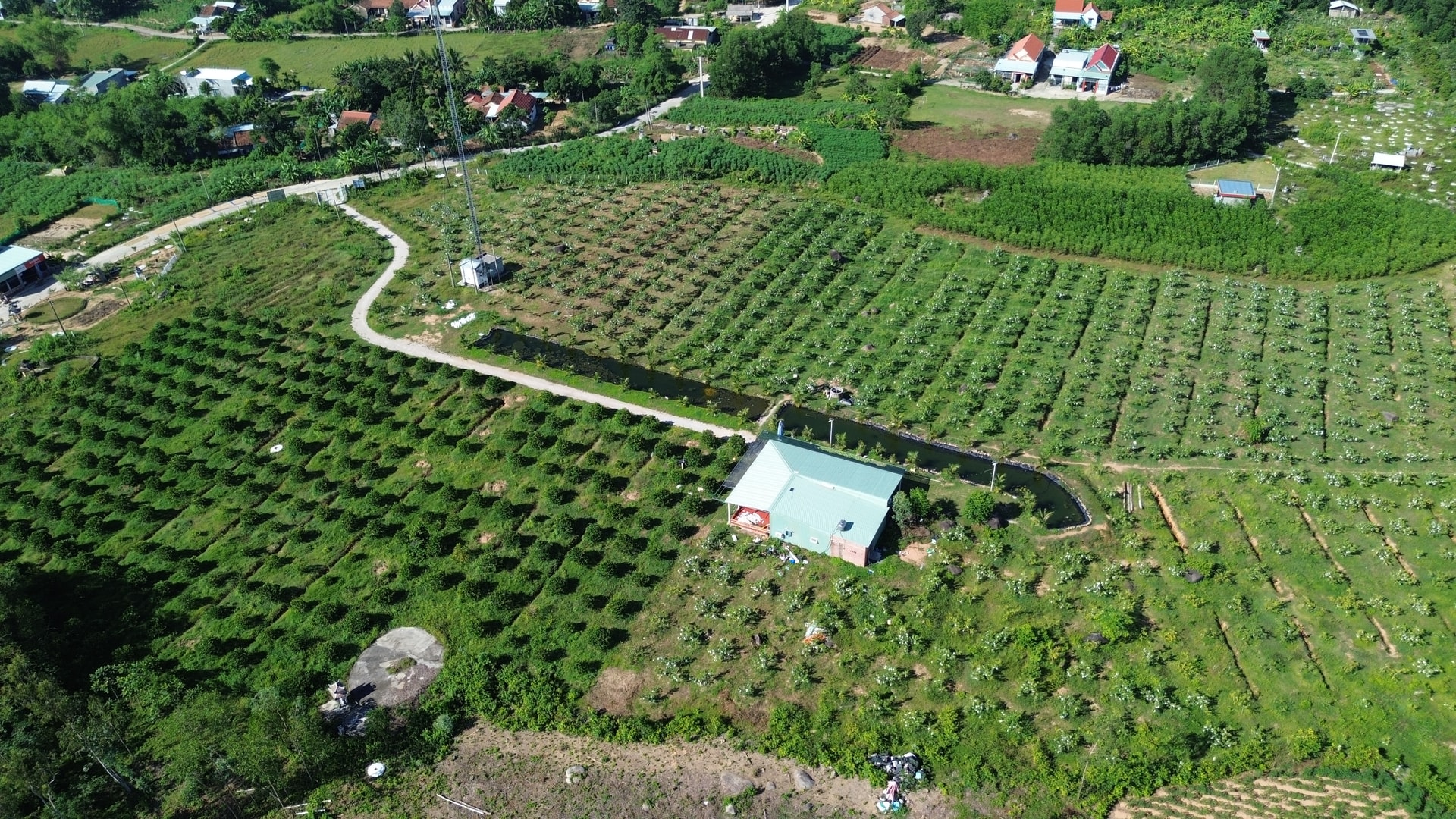 dji_0879.jpg