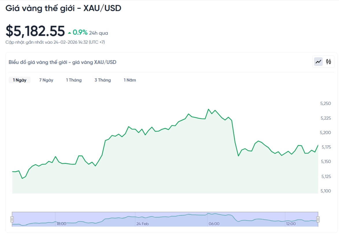 gia-vang-the-gioi-hom-nay-bieu-do-gia-vang-xauusd-kitco-02-24-2026_02_33_pm.jpg