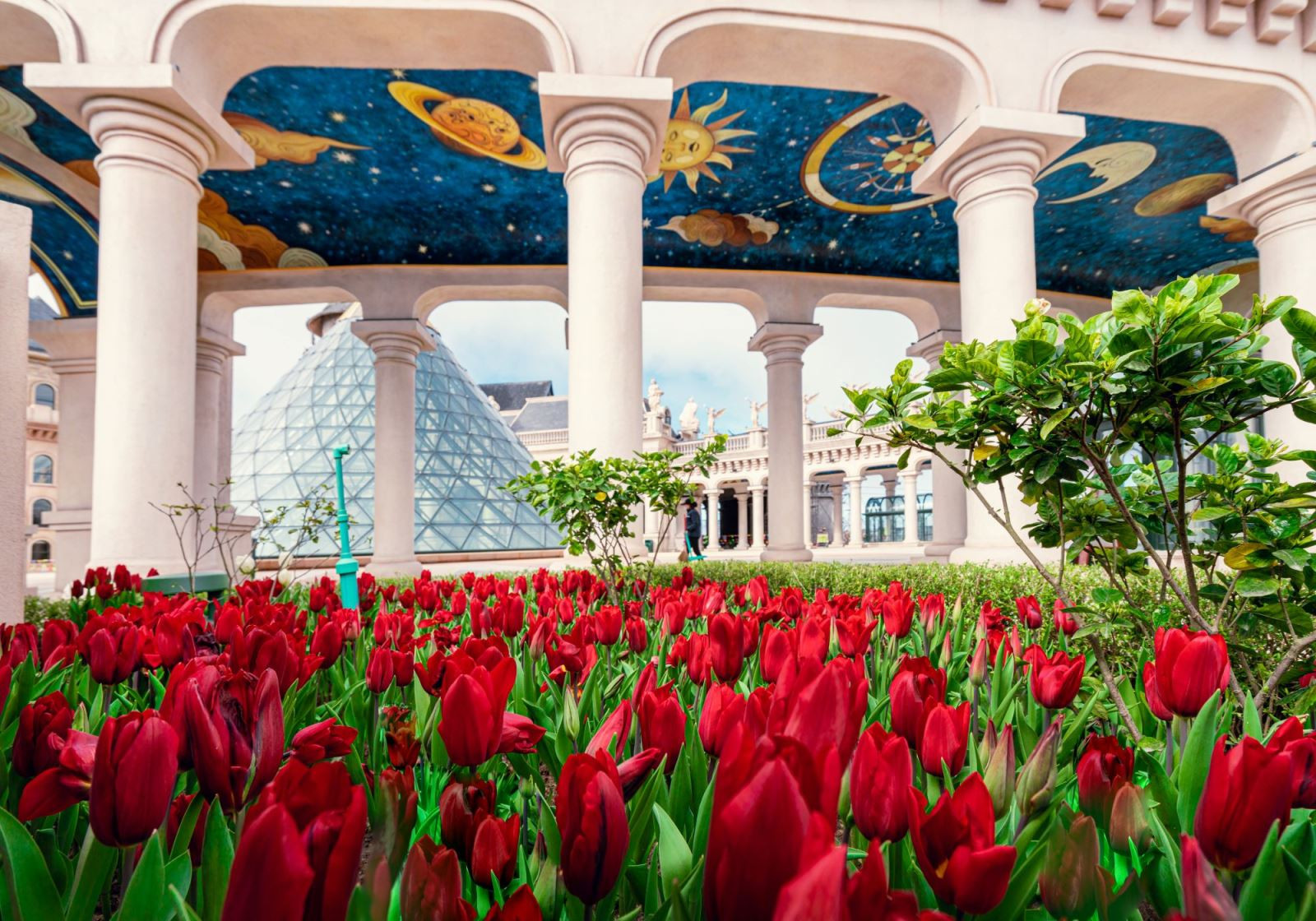 le-hoi-hoa-tulip-1-1-.jpg