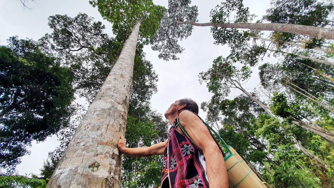 Prin intermediul festivalului, Tay Giang încurajează oamenii să participe la protejarea pădurilor și la prevenirea impactului negativ asupra Mamei Natură. (Foto: ALANG NGUOC)