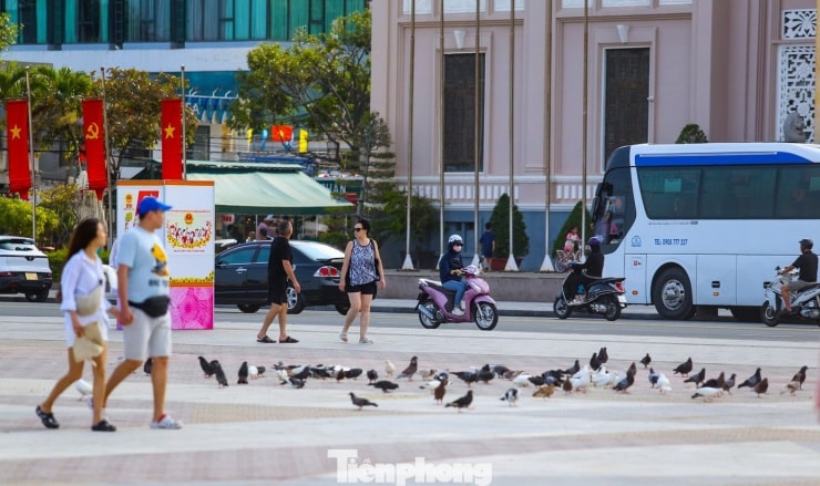 Toàn cảnh bãi biển Nha Trang thanh bình