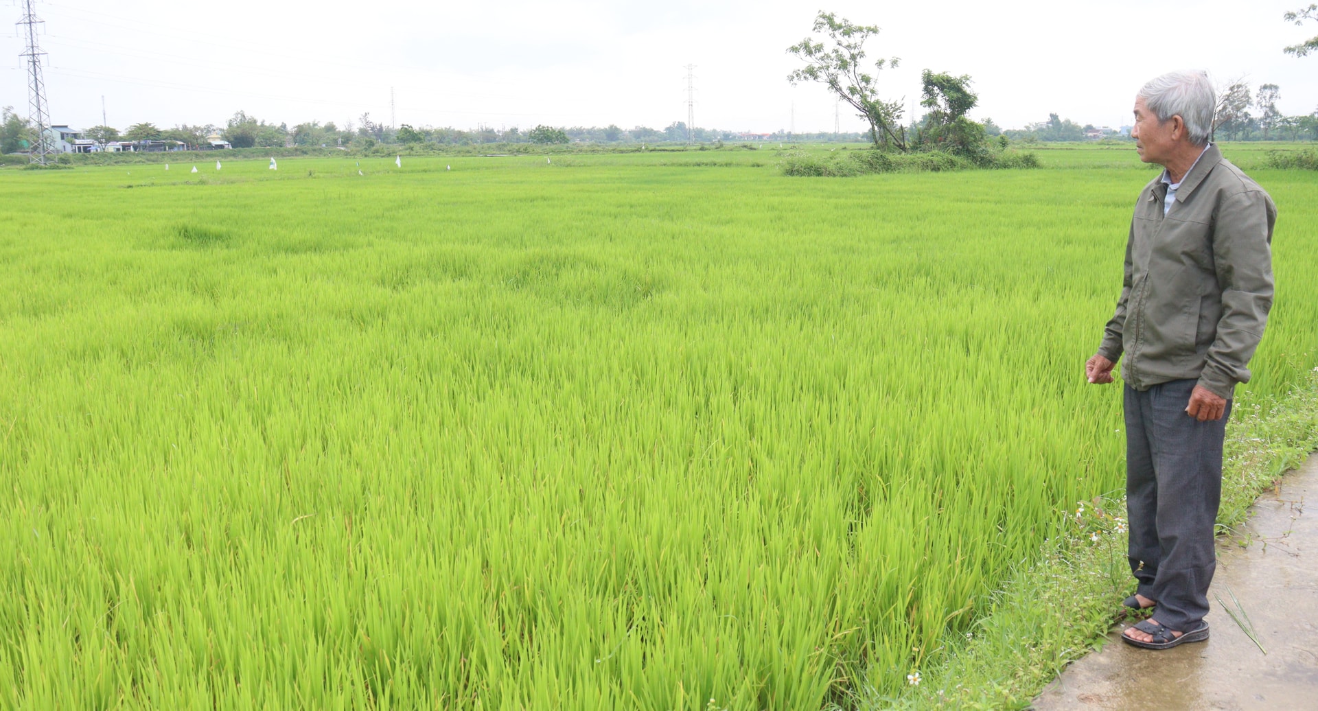 Khuyen nong 2