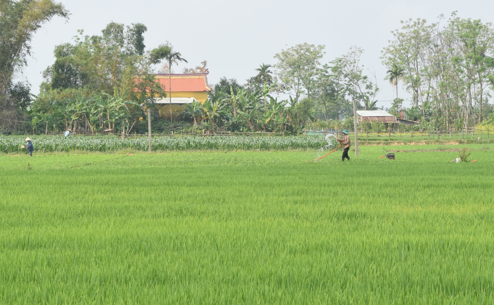 Khuyen nong 3
