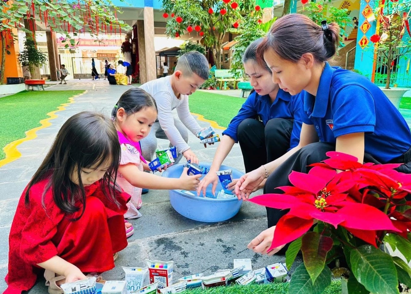 mn hoàng cúc, p an hải