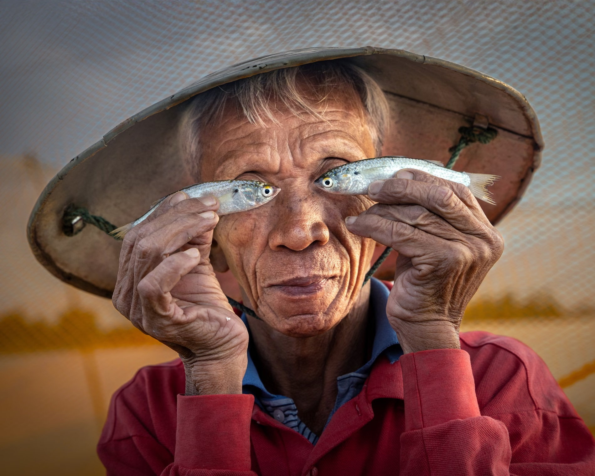 Fish Eyes