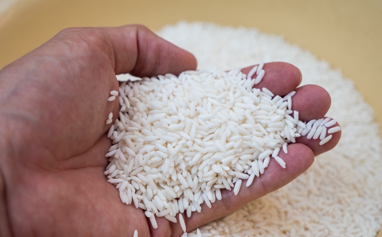 Thị trường lúa gạo tại Đồng bằng sông Cửu Long