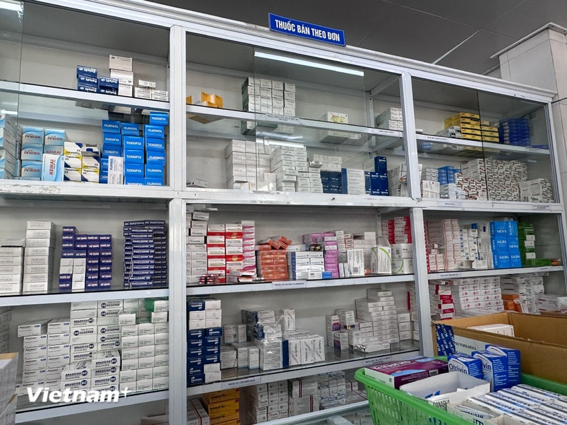 Các đơn vị cần đánh giá khả năng cung ứng của các nhà cung cấp và xây dựng phương án dự trữ phù hợp. (Ảnh: T.G/Vietnam+)