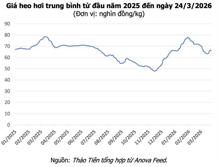 Cán bộ thú y kiểm tra tình hình chăn nuôi tại Lào Cai