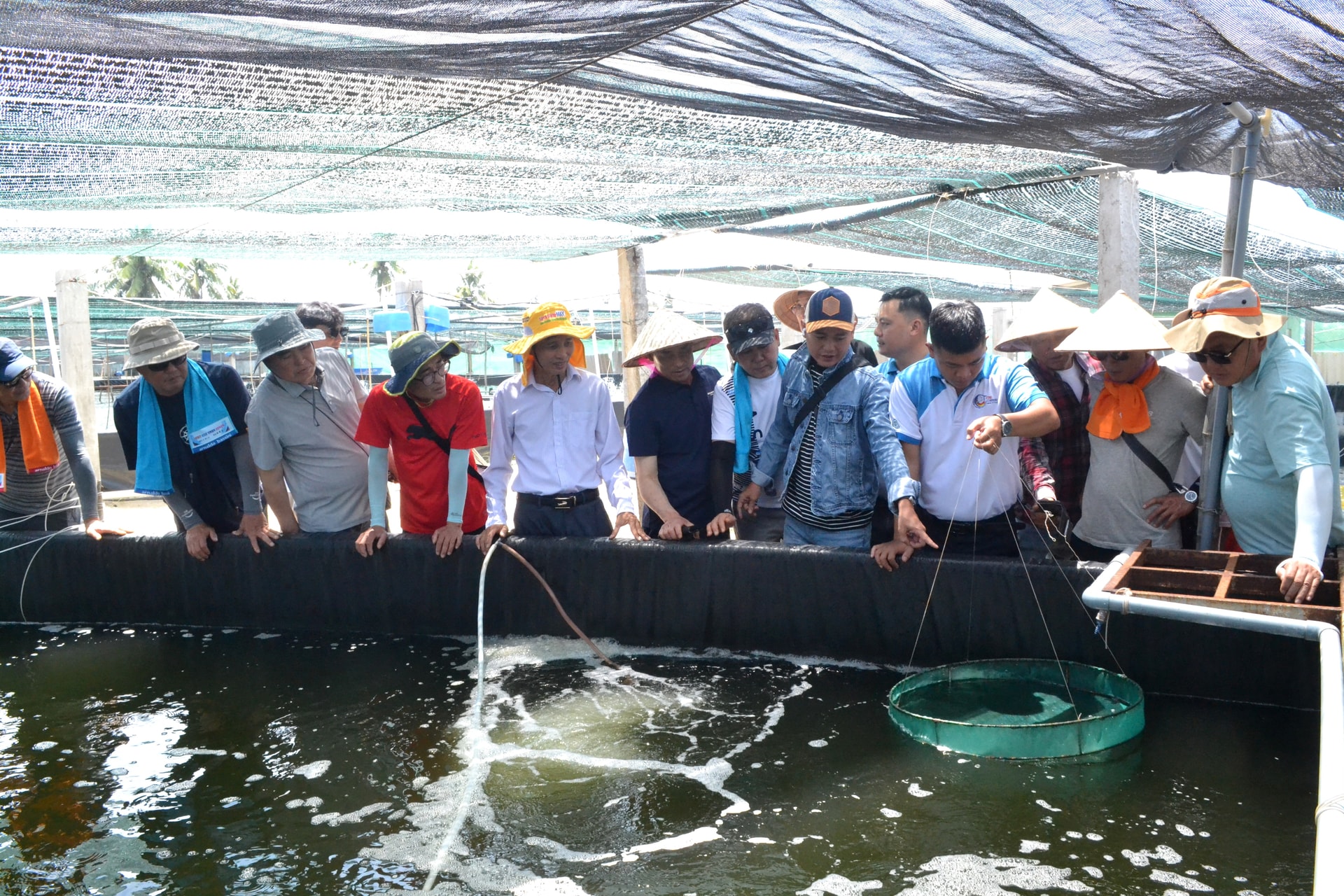 Xã Thăng Trường khuyến khích nông hộ cần ứng dụng công nghệ biofloc, tuần hoàn nước, hạn chế thay nước để giảm chi phí nuôi tôm. Ảnh: QUANG VIỆT