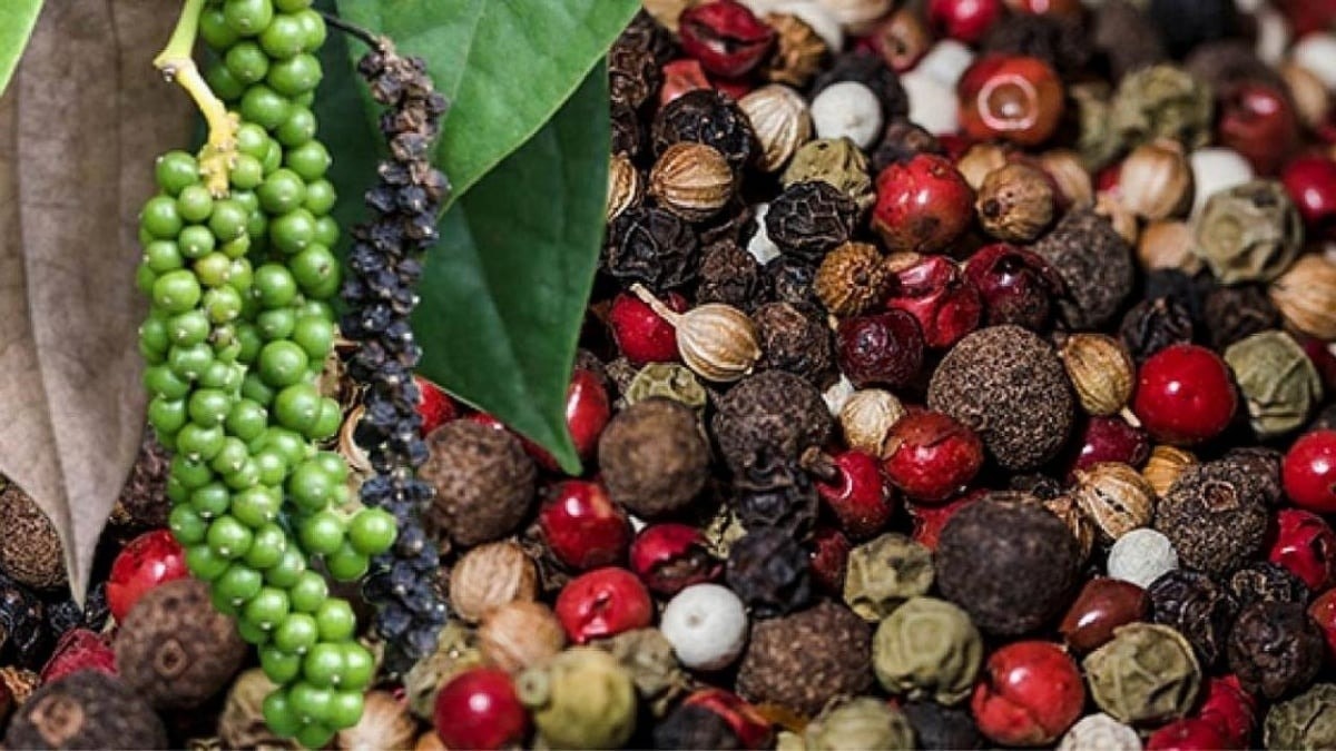 Updated pepper prices today, March 28, 2026