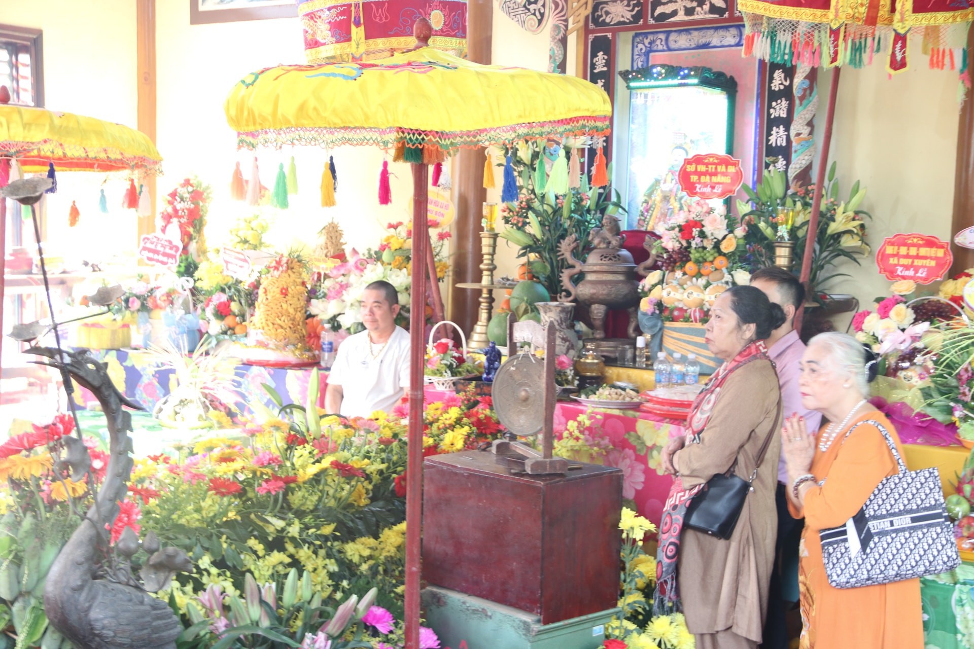 festival 3