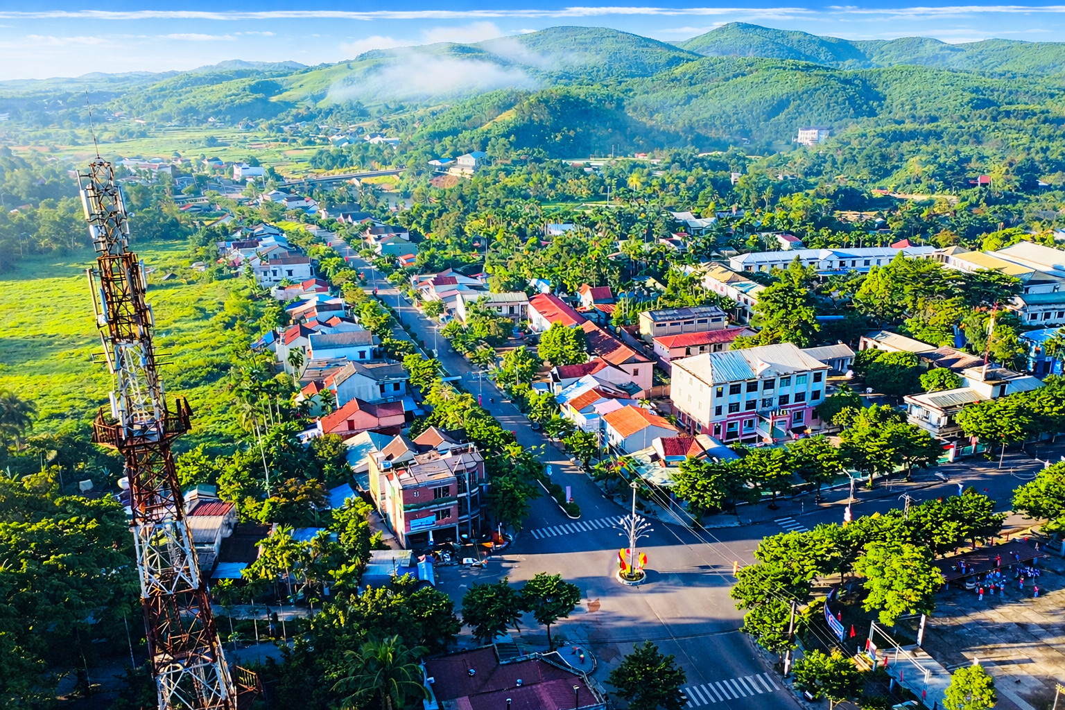 stará severní kamélie