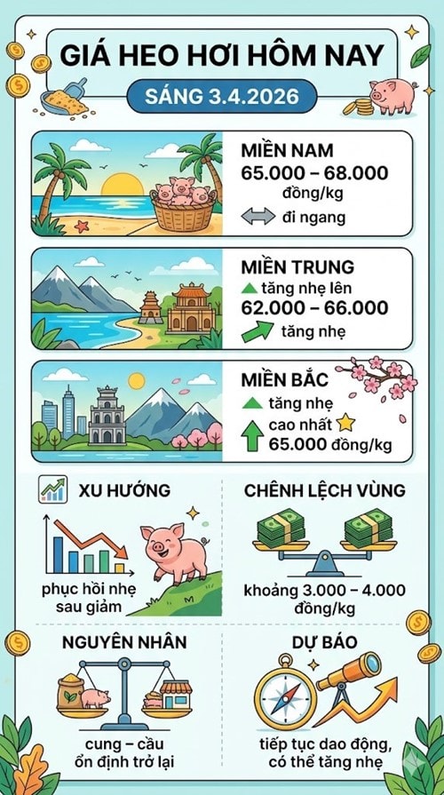 Giá heo hơi hôm nay phục hồi nhẹ tại khu vực miền Bắc và miền Trung