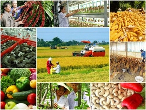 Hoạt động xuất khẩu nông sản Việt Nam trong quý I/2026