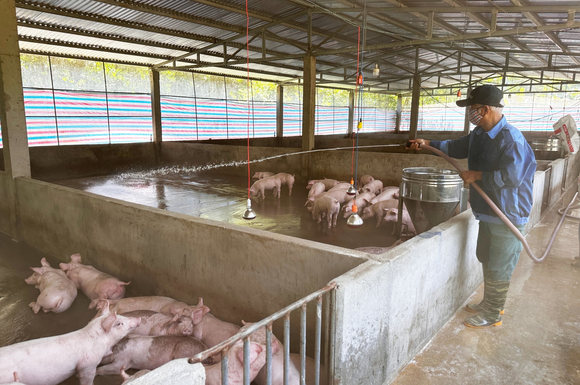 Ngành nông nghiệp chịu ảnh hưởng khá lớn khi giá nhiên liệu tăng cao