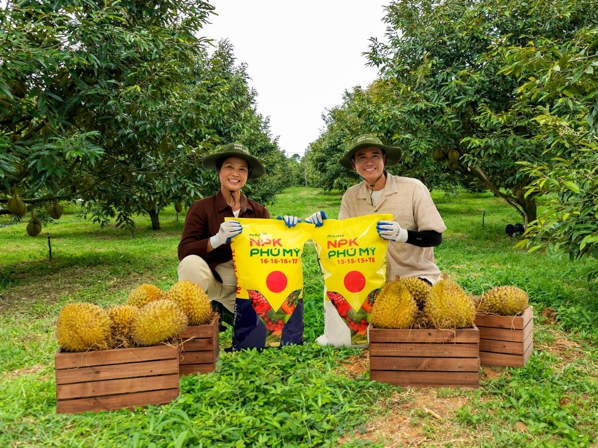 Giá phân bón hôm nay 15/4/2026: Ba phiên liên tiếp đi ngang