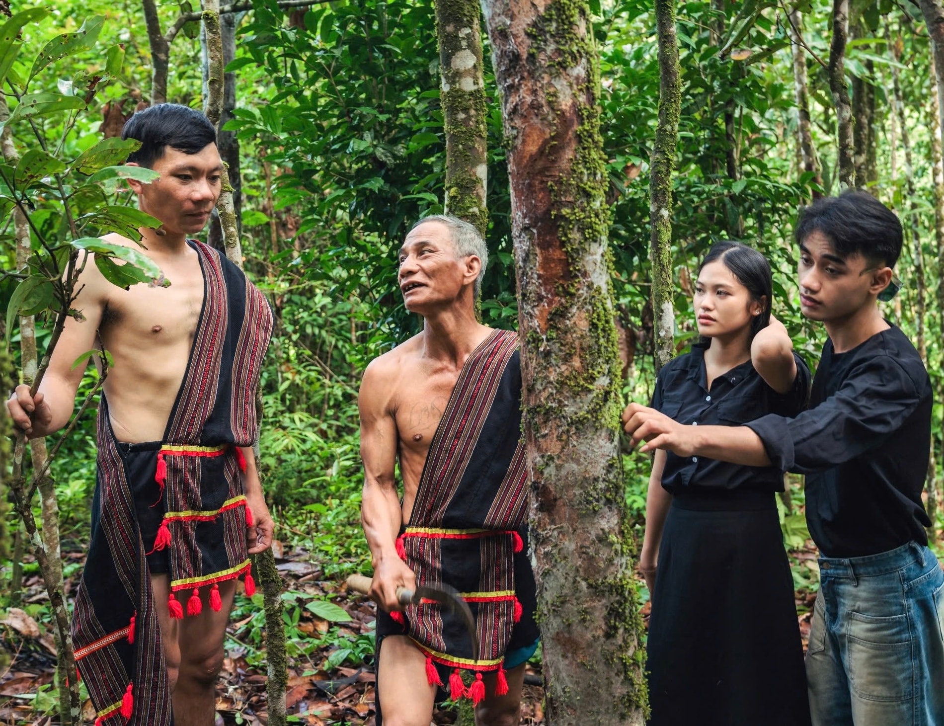 Cây quế được lồng ghép trong các lễ hội văn hóa ở vùng cao Trà My