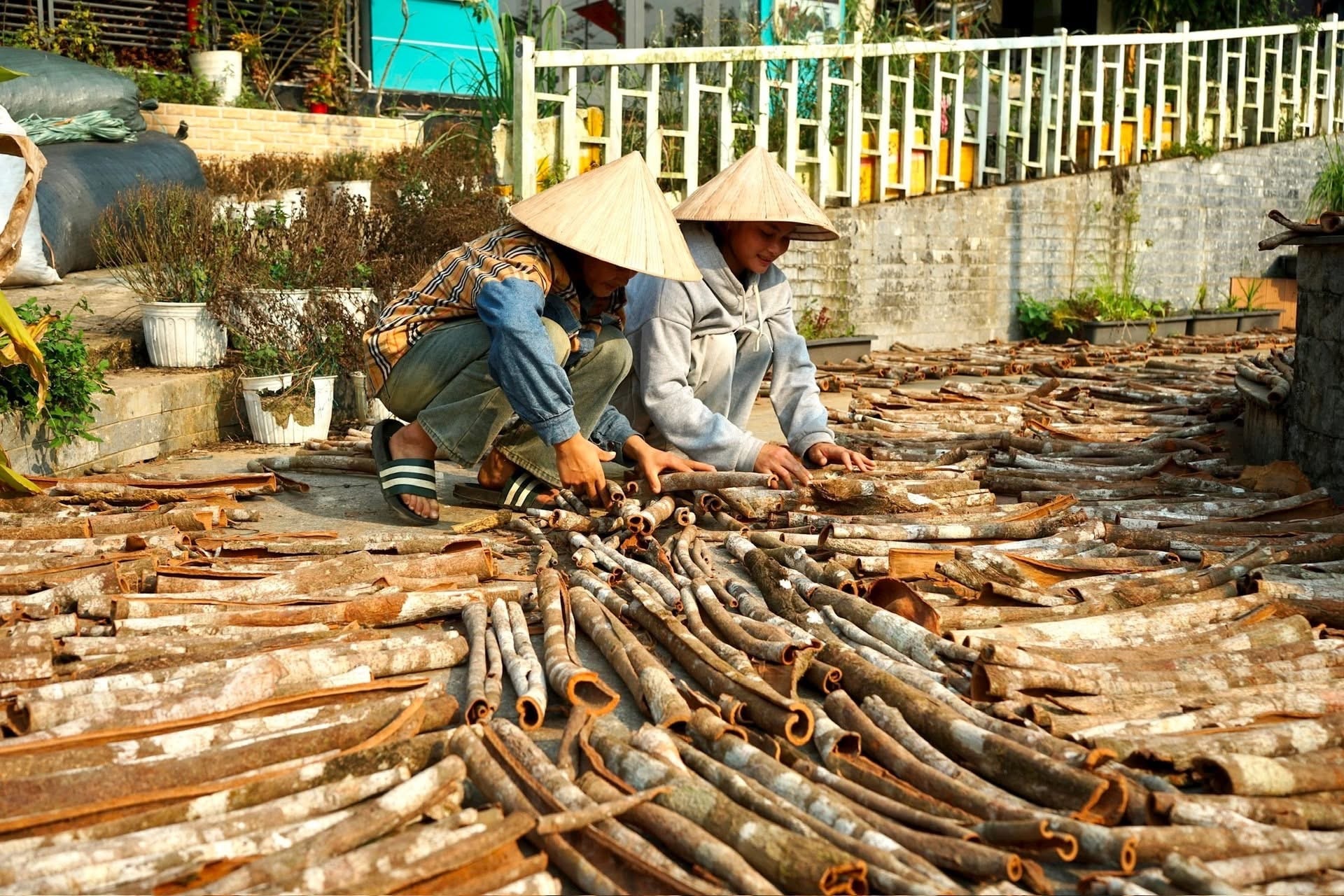 Đối với người dân các xã vùng cao Trà My