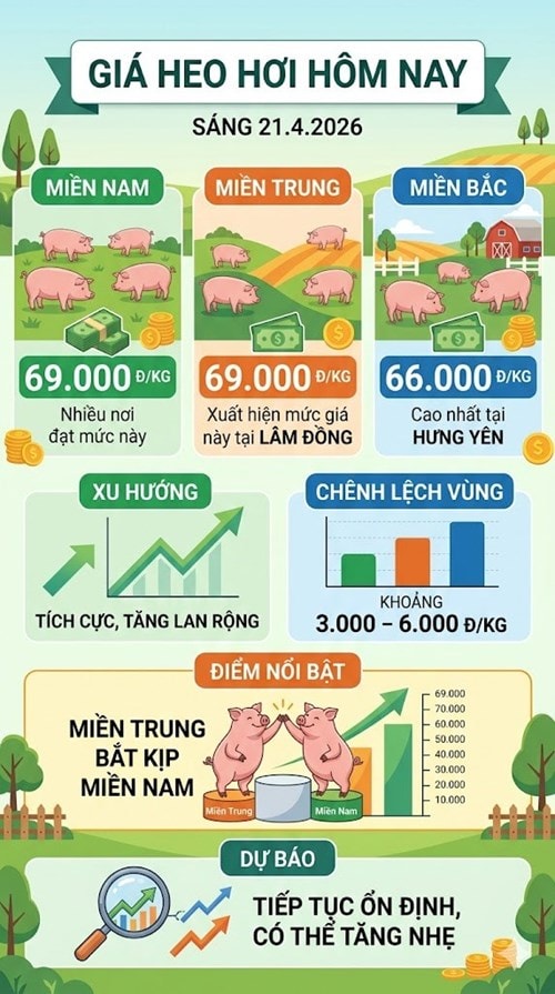 Giá heo hơi ngày 21.4 ghi nhận xu hướng tăng lan tỏa tại nhiều khu vực trên cả nước