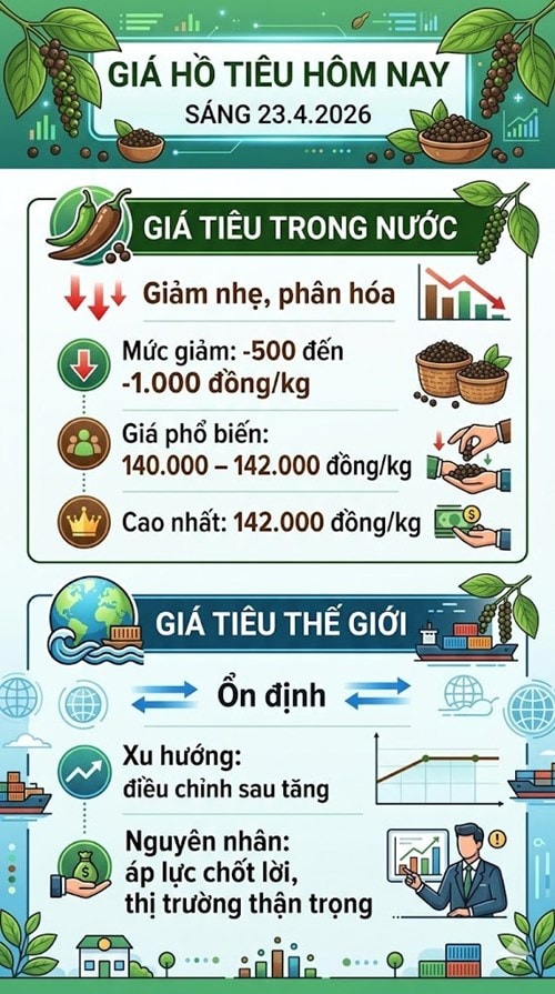 Bảng giá hạt tiêu trong nước ngày 23/4