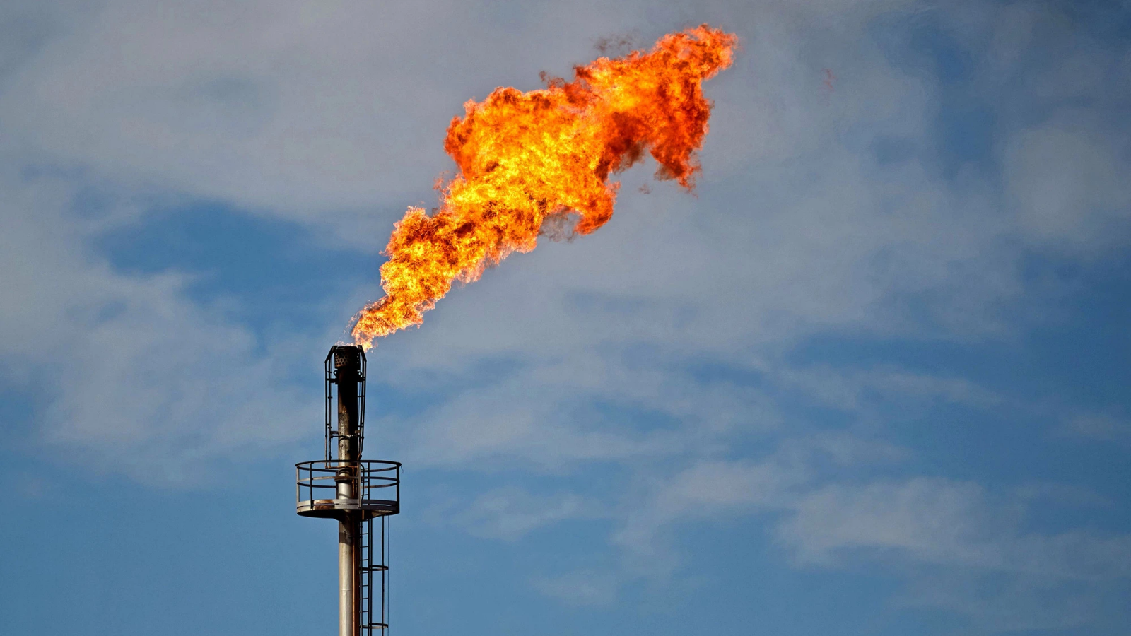 Giá gas hôm nay 8/5/2026: PV GAS đắt hơn Petrolimex 117.081 đồng
