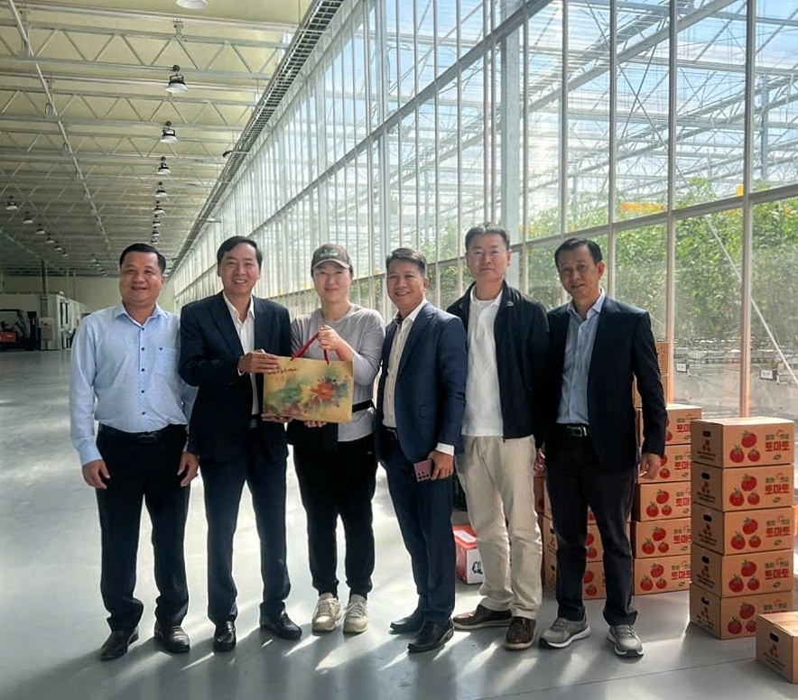 Hiệu quả đưa người lao động đi làm việc ở nước ngoài 