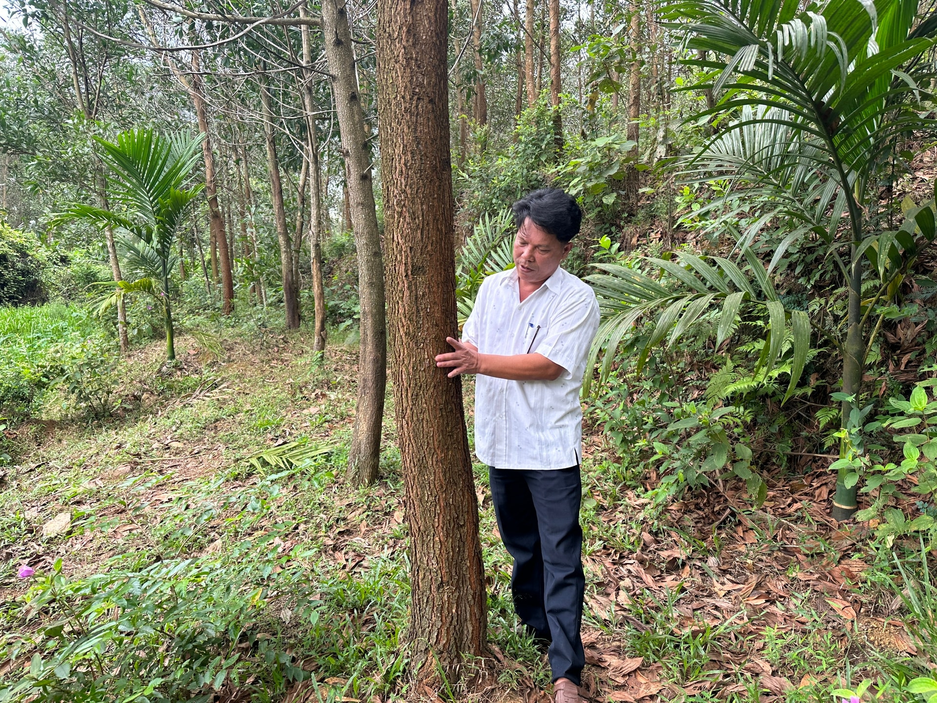 bao hiem -ong Duong