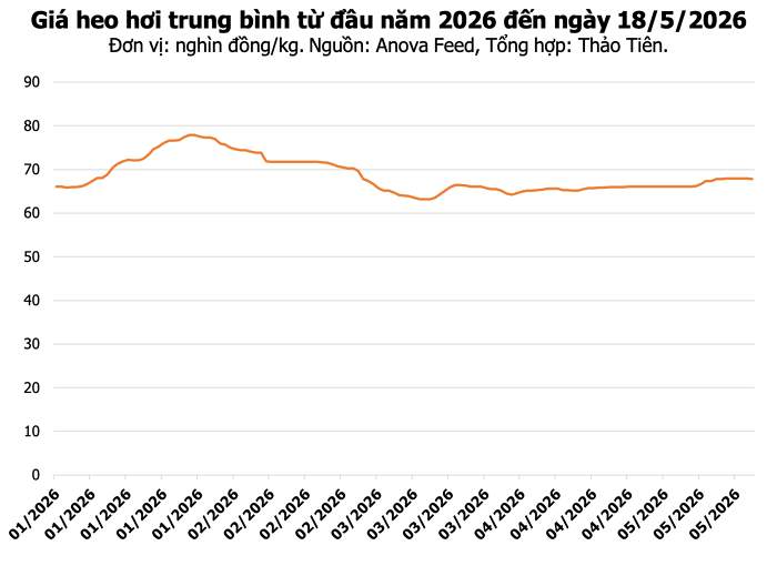 Cán bộ thú y kiểm tra tình hình sức khỏe đàn heo tại trang trại chăn nuôi tập trung