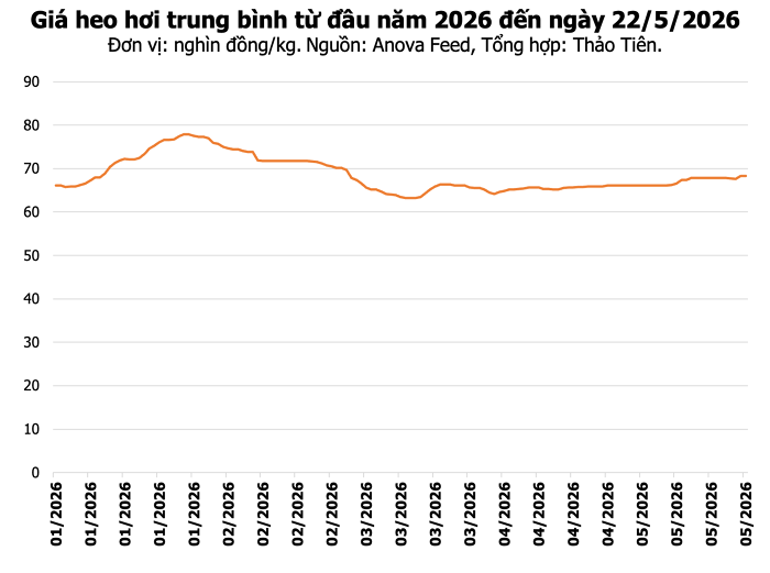 Thị trường heo hơi duy trì ổn định trong phiên sáng ngày 22/5