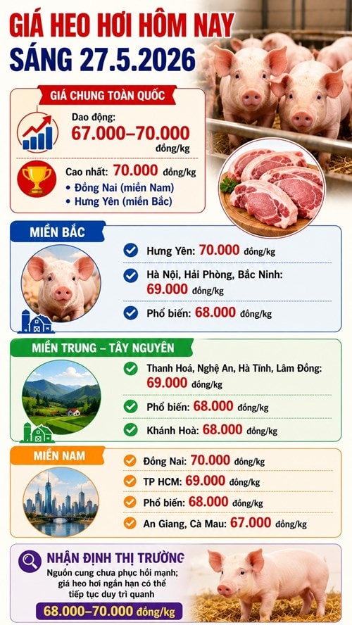 Giá heo hơi hôm nay 27.5 ổn định, nhiều địa phương duy trì vùng giá cao