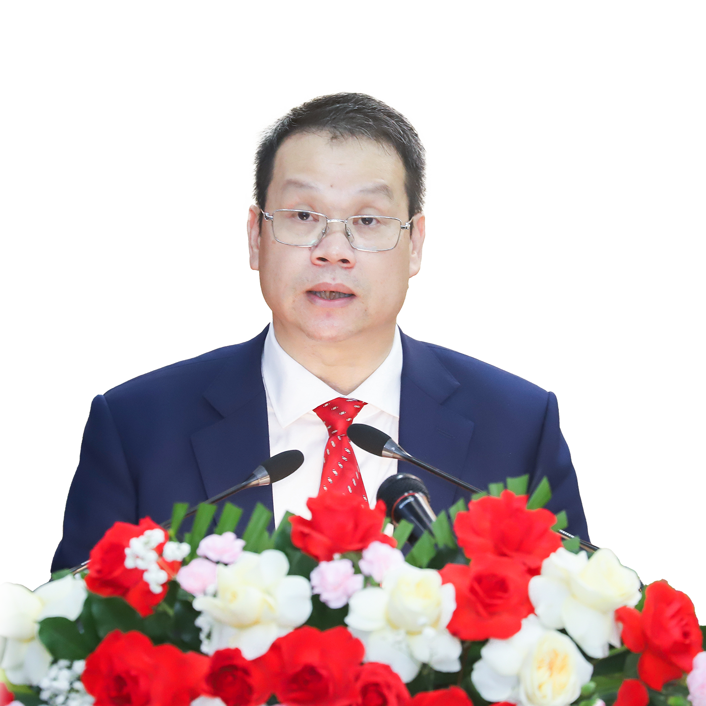 Đồng chí  Nguyễn Mạnh Hùng