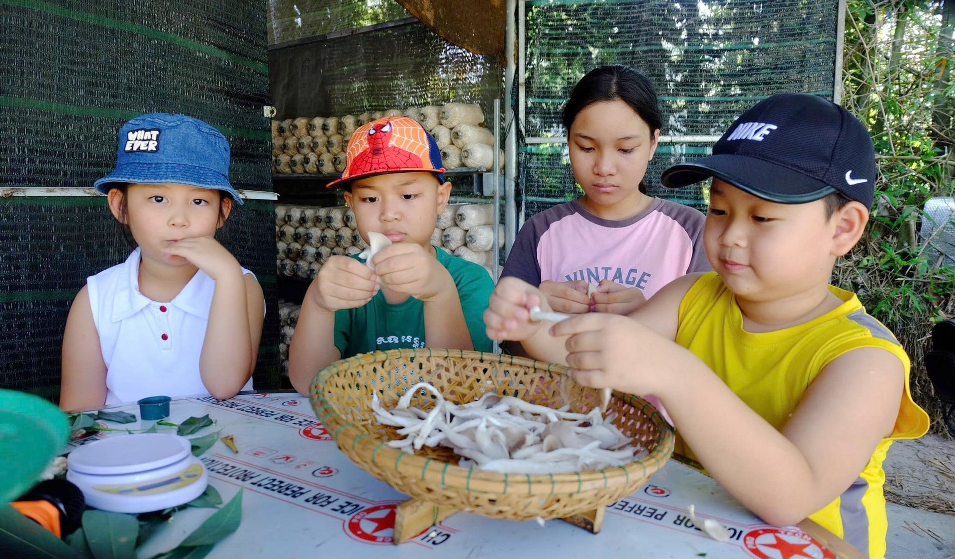 Các học viên của CLB Kỹ năng sống Cánh diều trải nghiệm chế biến món ăn từ nấm bào ngư